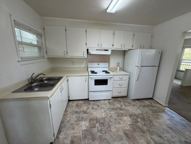 Gallery Photo 14